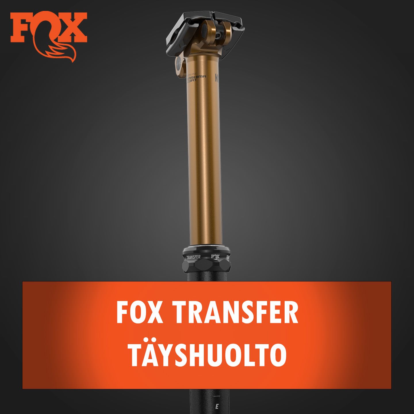 Fox Transfer hissitolpan täyshuolto Fox Transfer hissitolpan täyshuolto