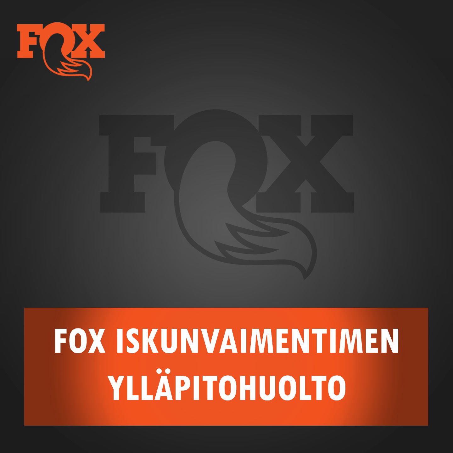 Fox takaiskunvaimentimen ylläpitohuolto Fox takaiskunvaimentimen ylläpitohuolto