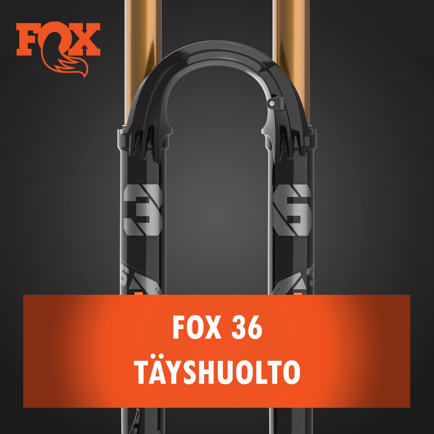 Fox 36 joustokeulan täyshuolto Fox 36 joustokeulan täyshuolto